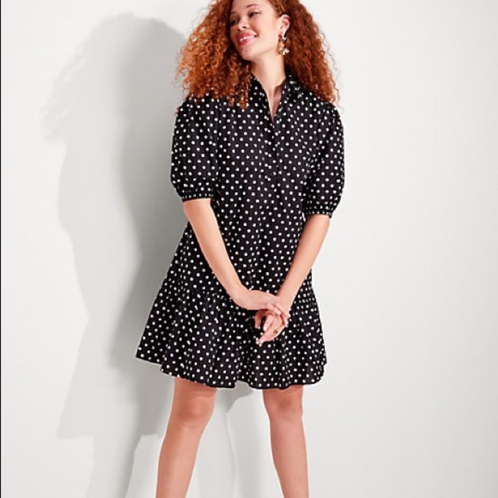 NWT Kate Spade Harmony Dot Lake Dress!